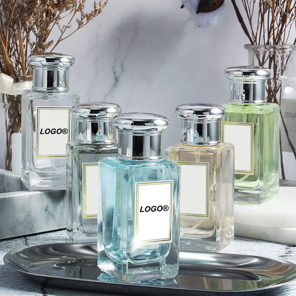 Luxury Custom Clear Square Glass Perfume Bottles – 30ml 50ml 100ml Options